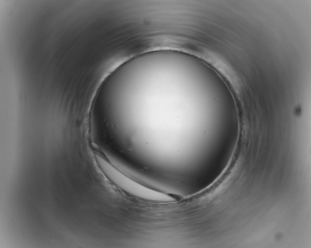 X0000102541145200808151637