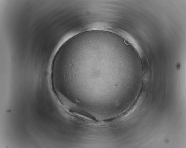 X0000102541146200808151637