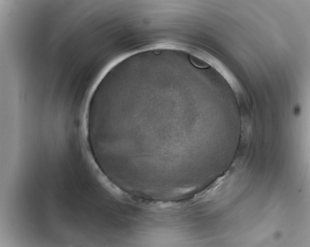 X0000102541148200808151637