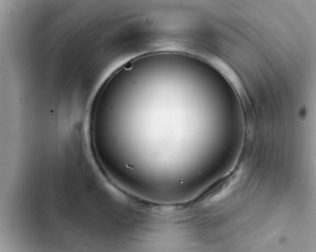 X0000102541149200808151637