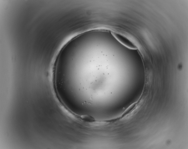 X0000102541151200808151637