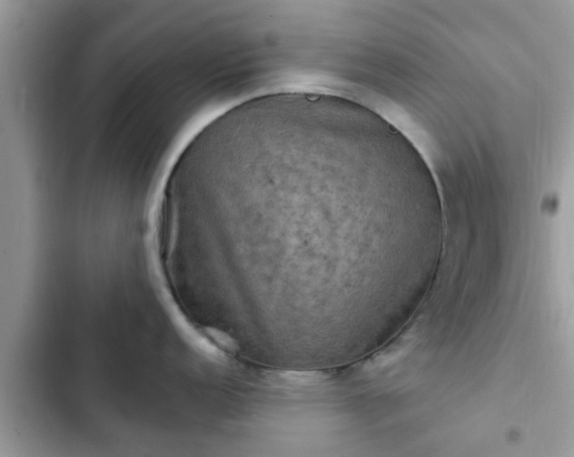 X0000102541152200808151637