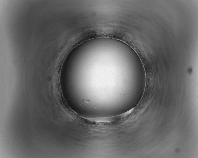 X0000102541153200808151636