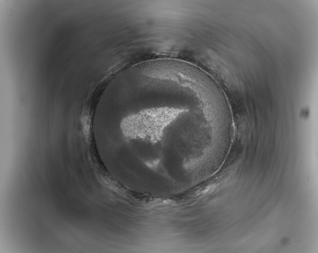 X0000102541154200808151636