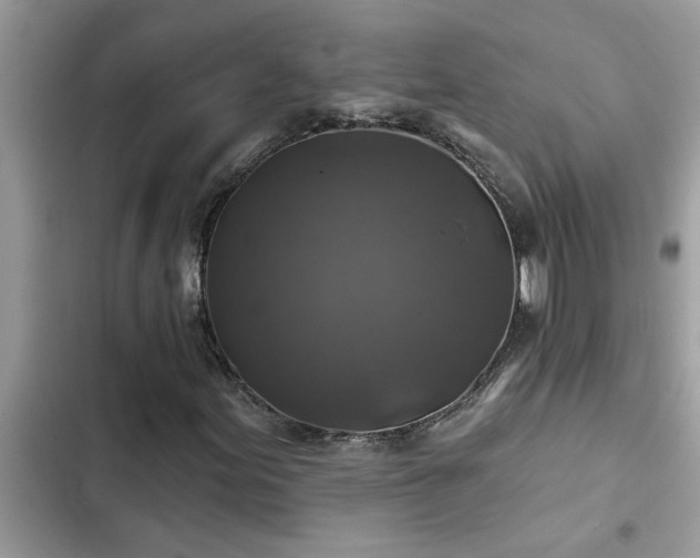 X0000102541155200808151636