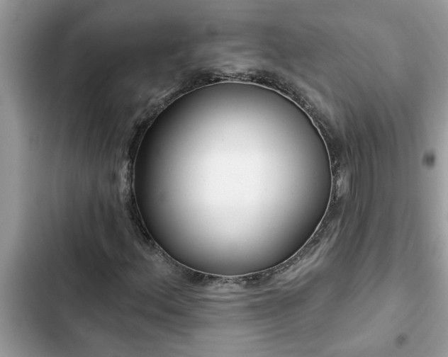 X0000102541156200808151636