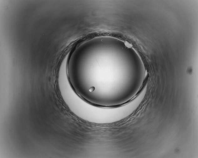 X0000102541157200808151636