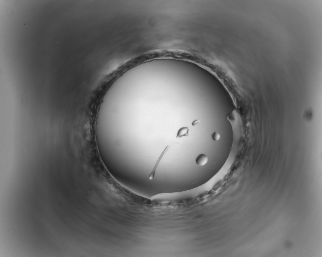 X0000102541159200808151636