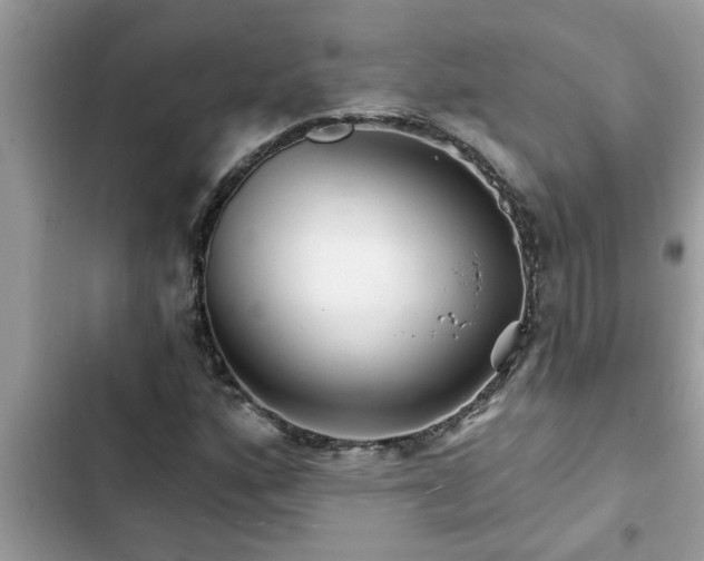 X0000102541160200808151636
