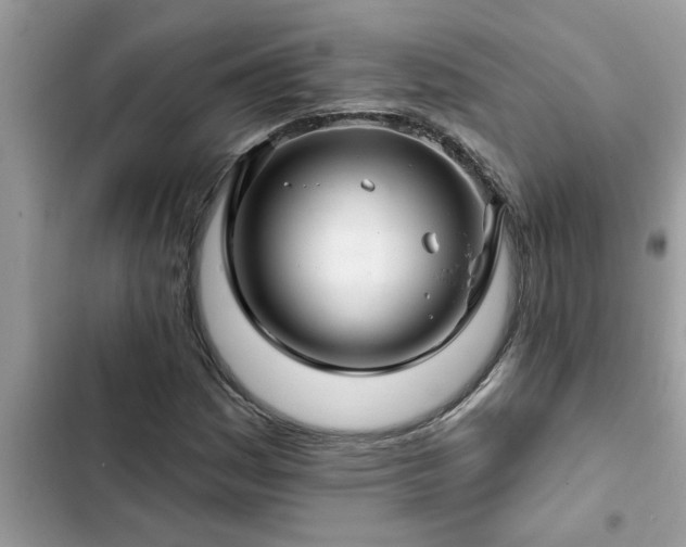 X0000102541161200808151636