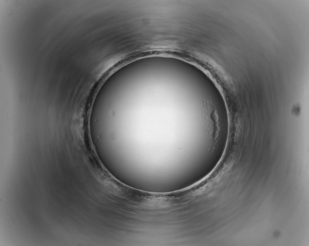 X0000102541162200808151636