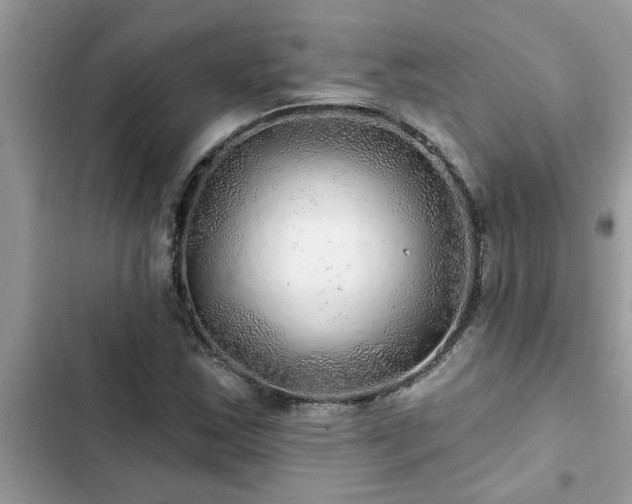 X0000102541163200808151636