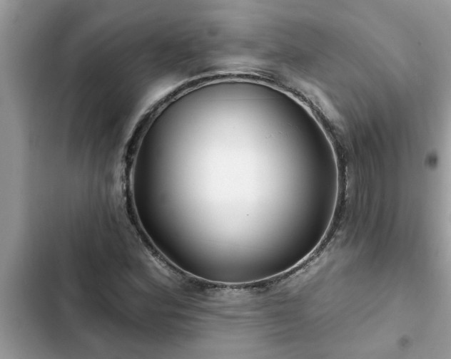 X0000102541164200808151636