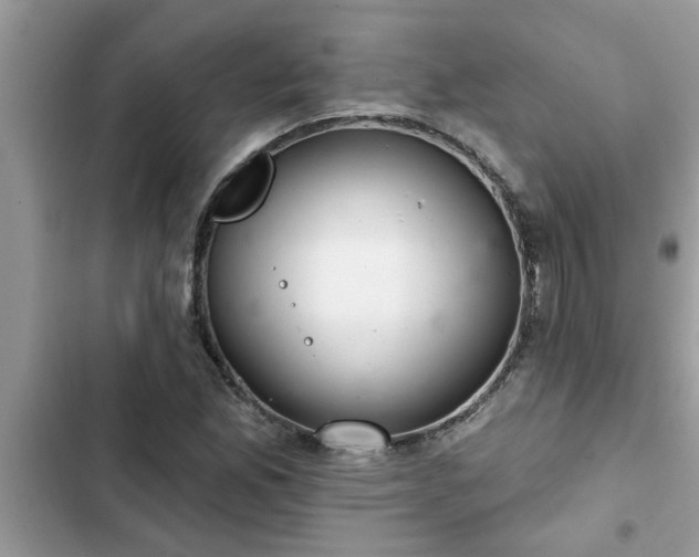 X0000102541165200808151636
