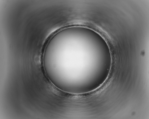X0000102541166200808151636