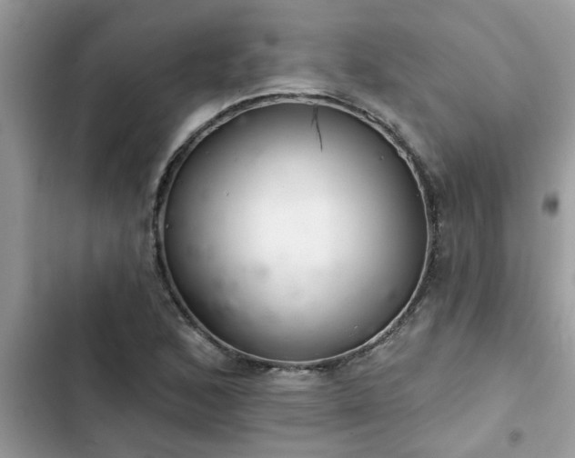 X0000102541168200808151636
