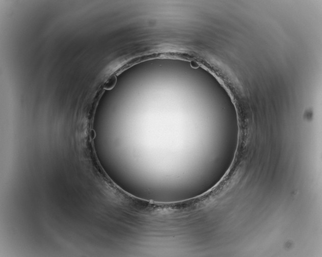 X0000102541169200808151636