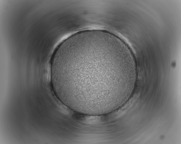 X0000102541171200808151636