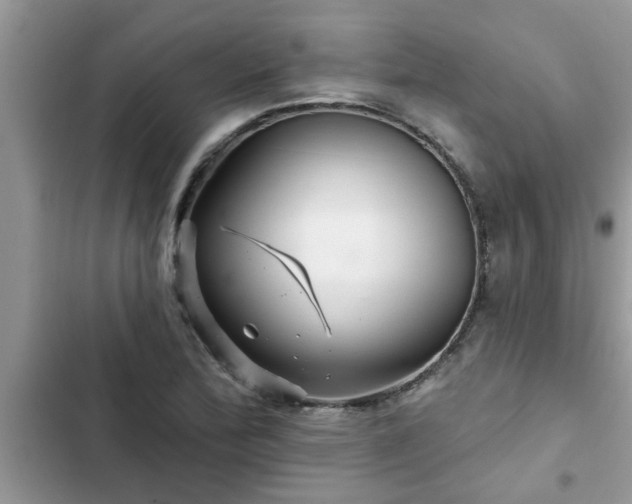 X0000102541172200808151636