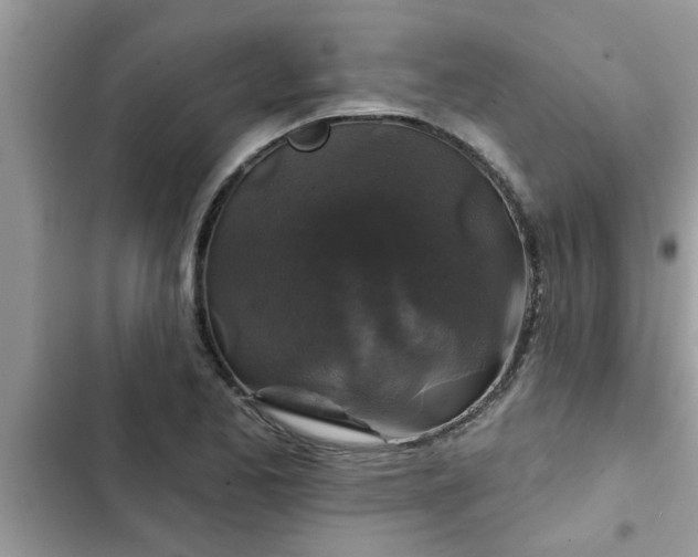 X0000102541173200808151636