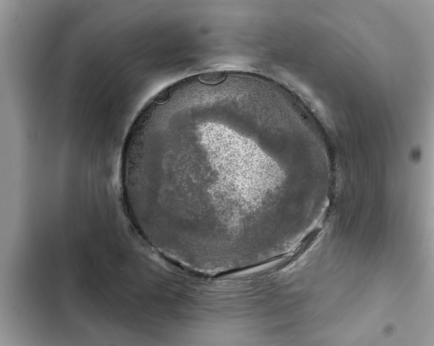 X0000102541174200808151636