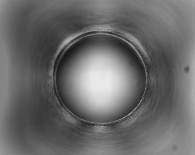 X0000102541176200808151636