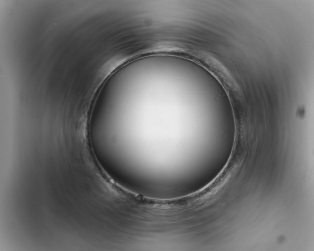 X0000102541177200808151636