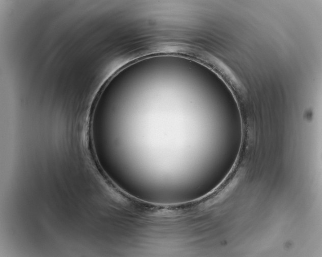 X0000102541178200808151636