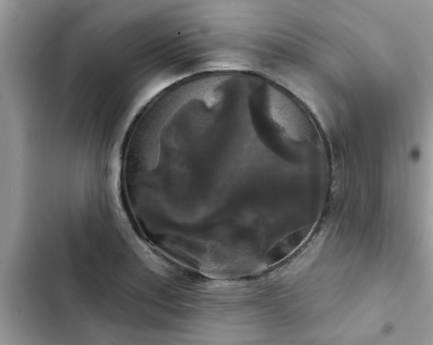 X0000102541179200808151636