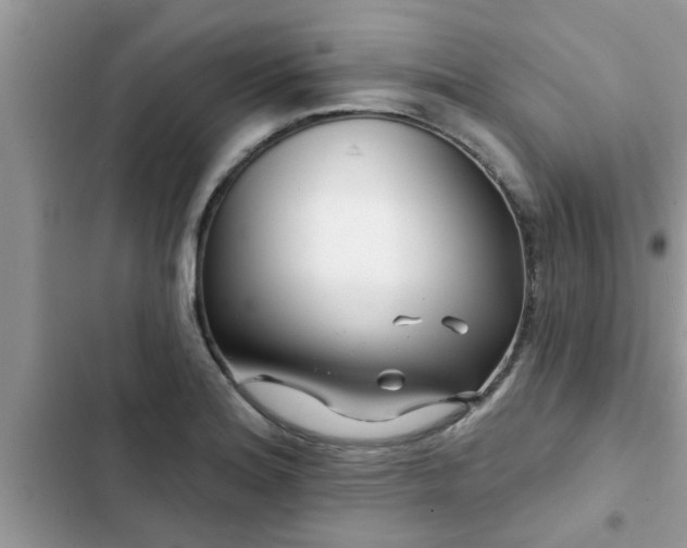 X0000102541180200808151636