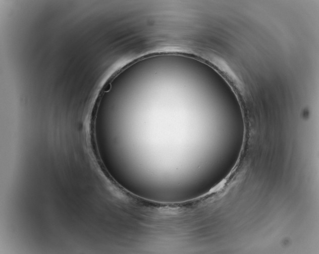 X0000102541181200808151636