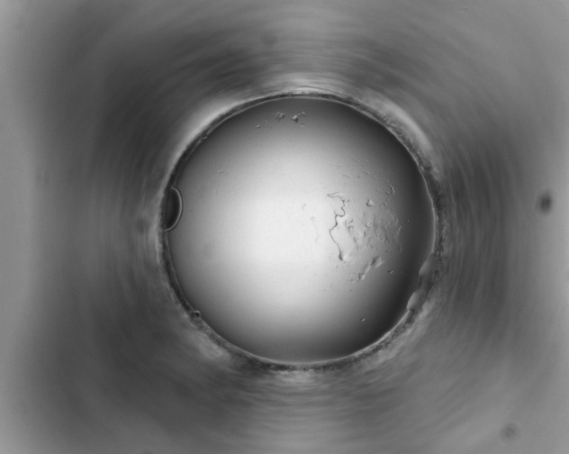 X0000102541182200808151636