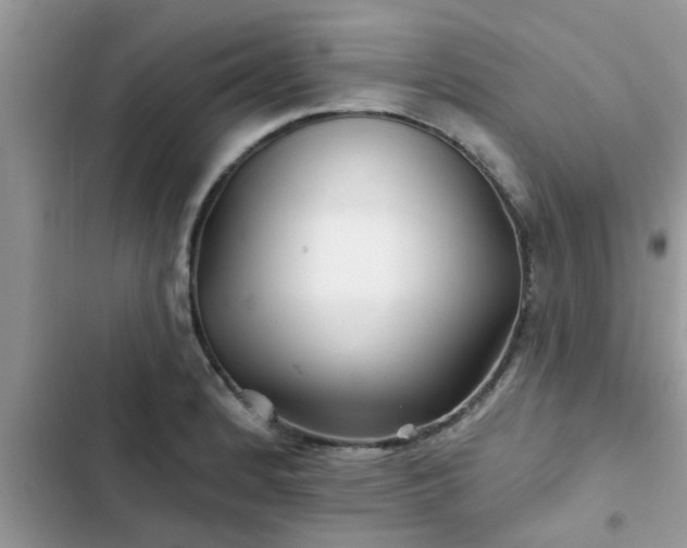X0000102541184200808151636