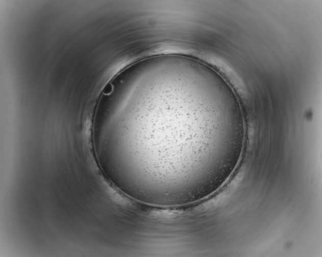 X0000102541185200808151636