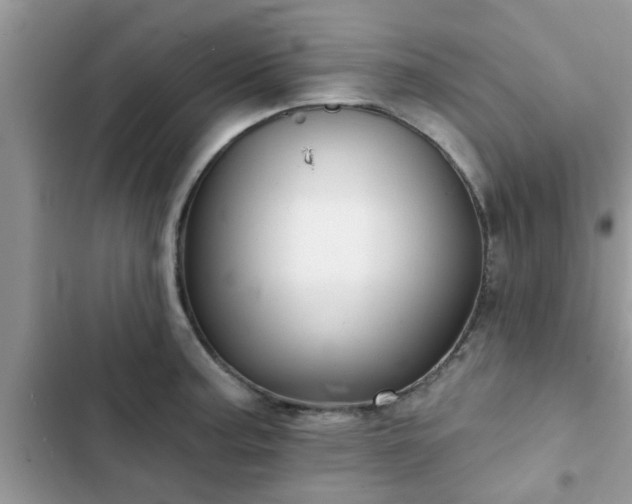 X0000102541187200808151636
