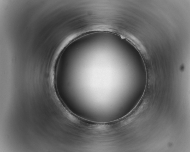 X0000102541188200808151636
