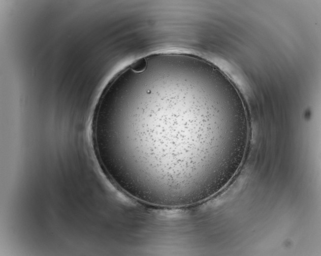 X0000102541189200808151635
