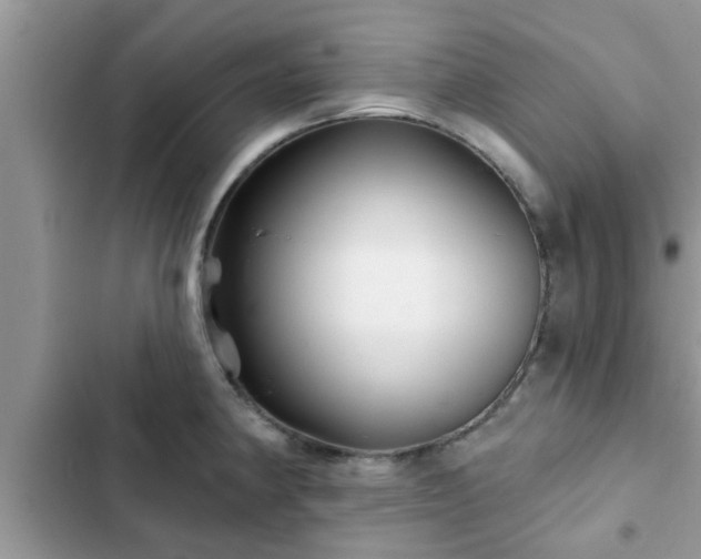 X0000102541190200808151635
