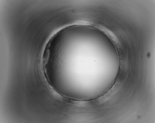 X0000102541192200808151635