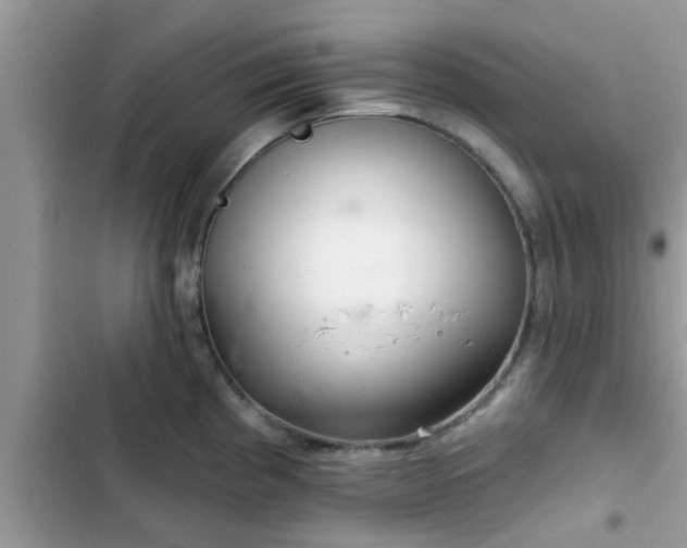 X0000102541193200808151635