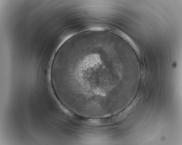 X0000102541194200808151635