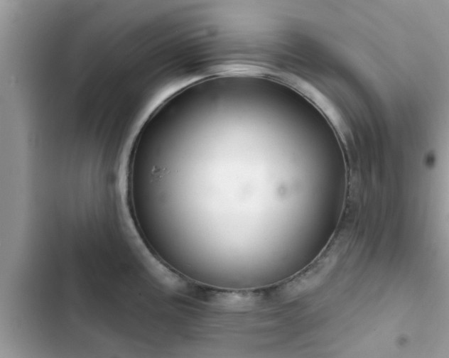 X0000102541195200808151635