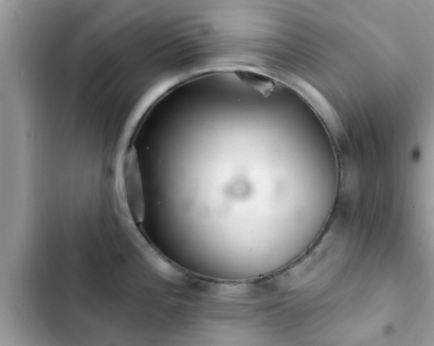 X0000102541196200808151635