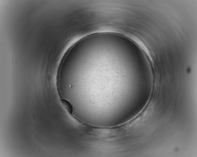 X0000102541197200808151635
