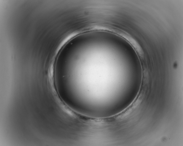 X0000102541198200808151635