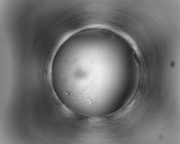 X0000102541199200808151635