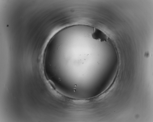 X0000102541200200808151635