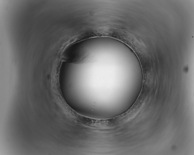 X0000102541201200808151635