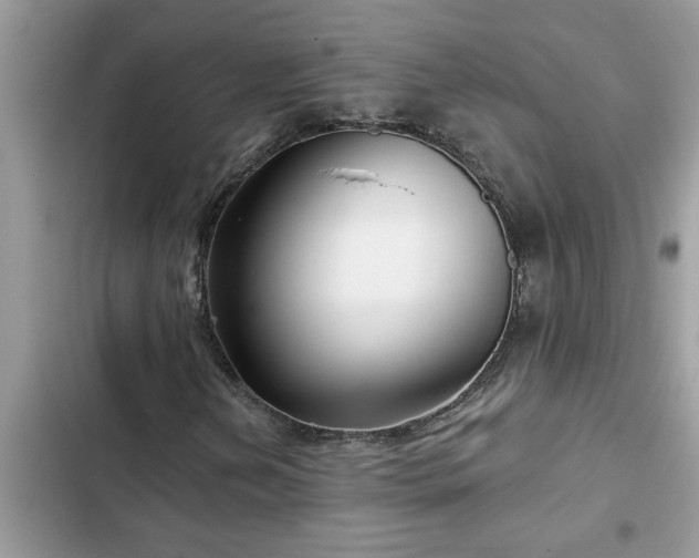 X0000102541202200808151635