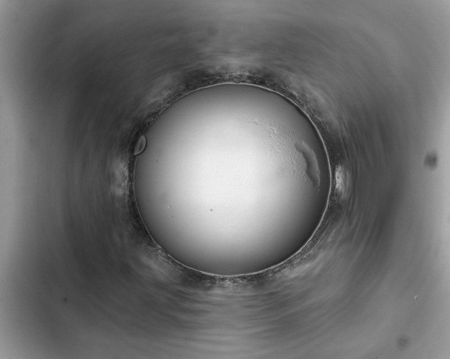 X0000102541203200808151635